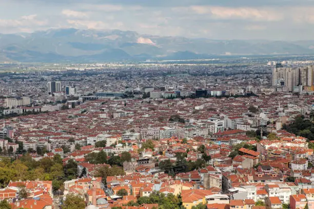 Bursa Halı ve Koltuk Yıkama Hizmetleri